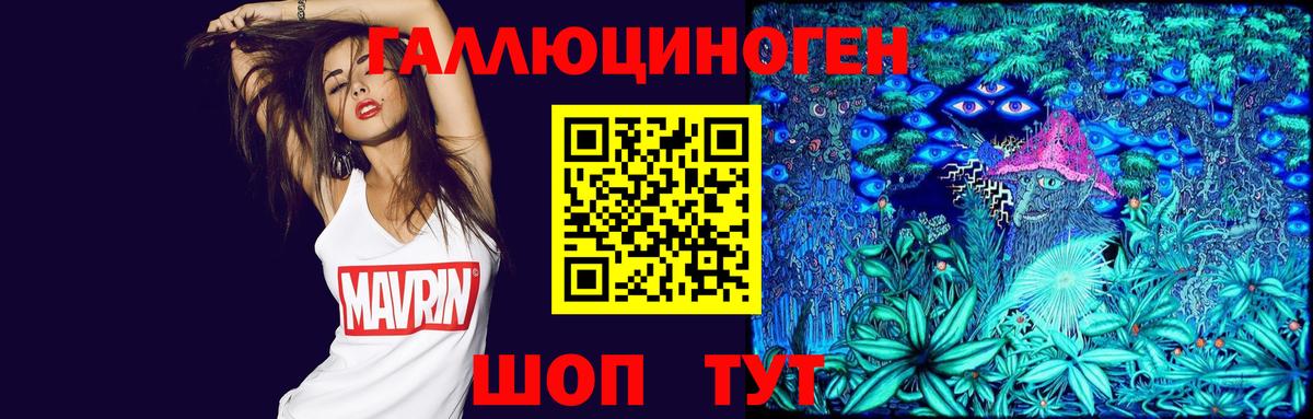 Псилоцибиновые грибы Cubensis Лабинск